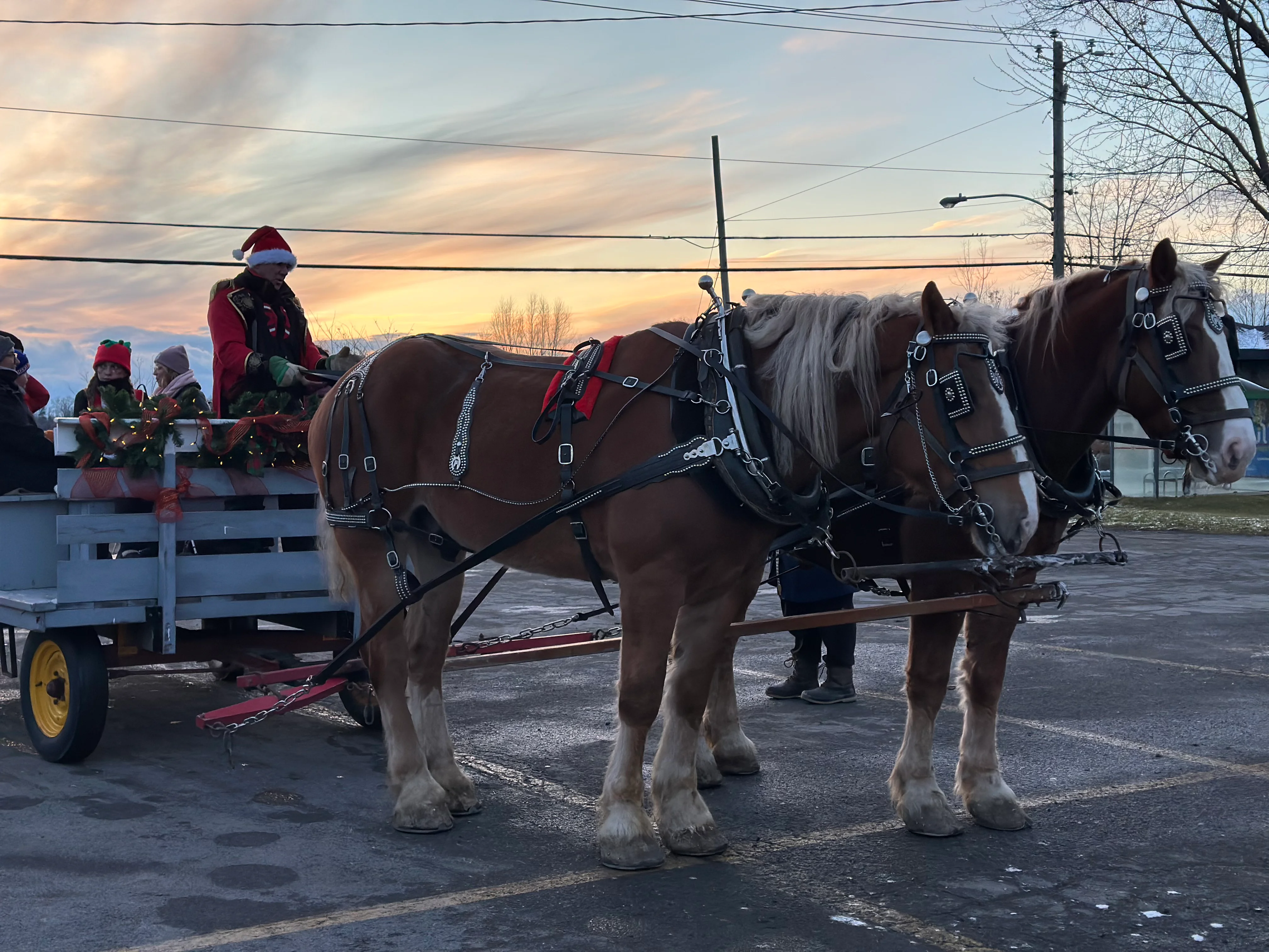 Calèche de Noël tirée par deux chevaux de trait.