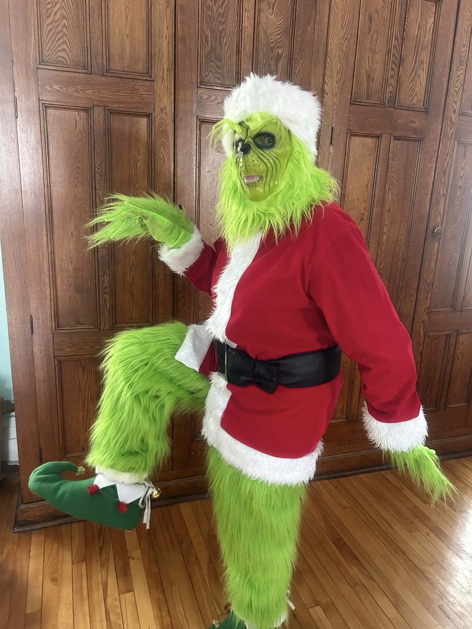 Portrait du Grinch.